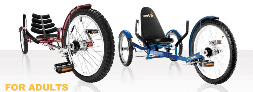 Best bikes for adults – Which Mobo Cruiser is Suitable?